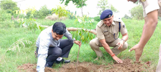 वन महोत्सव में अधिकारियों सहित आम जन ने बढ़ चढ़कर लिया हिस्सा